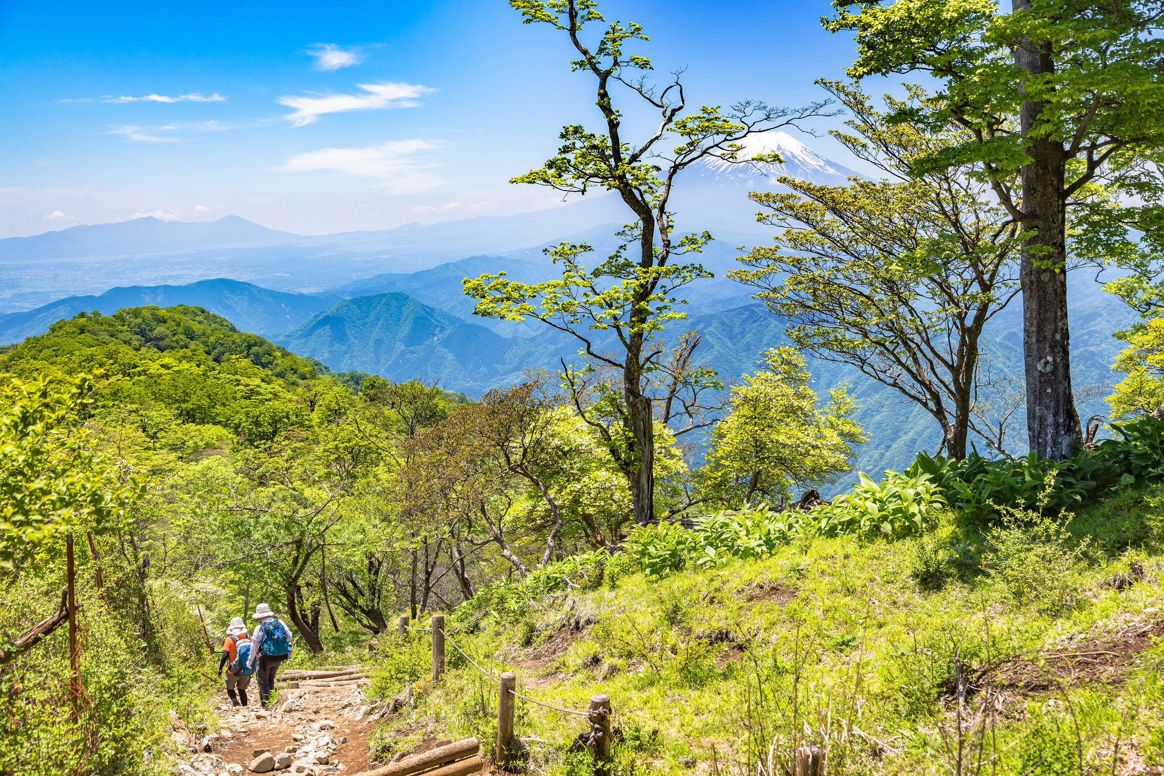 Mountain trail